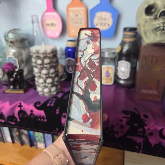 The Night Blood Prince by Molly X. Chang Fairyloot July 2025 Rule Them All - Picture 9 of 10